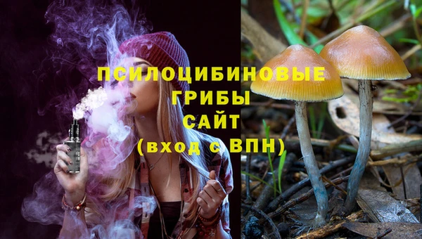 амф Белокуриха