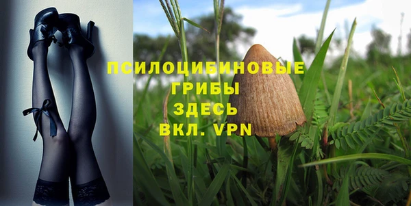амф Беломорск